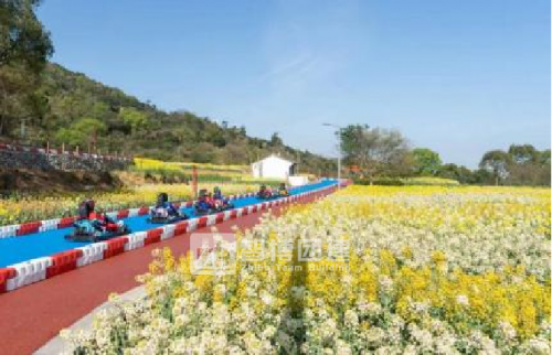 溫州平陽哈林野奢卡丁車營地