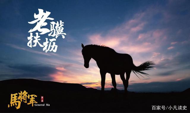 曹操遠(yuǎn)征烏桓,凱旋回師寫下《觀滄海》、《龜雖壽》