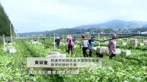 全國勞動模范黃訓奎 老驥伏櫪 只為鄉(xiāng)親生活更美好