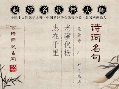 老驥伏櫪，志在千里 堅(jiān)韌精神的時(shí)代回響