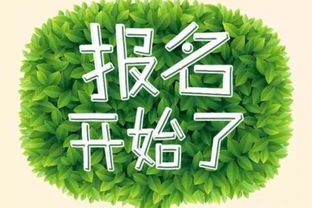 鄂爾多斯市殘疾人手工藝品DIY培訓(xùn)班開始報(bào)名了