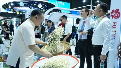 閩榕茶業(yè)亮相第四屆中國-非洲經(jīng)貿(mào)博覽會，推動茶業(yè)經(jīng)貿(mào)合作新篇章